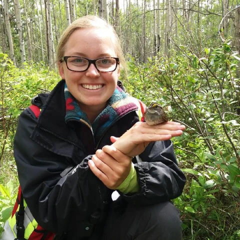 Kaitlyn Legeard - BIT